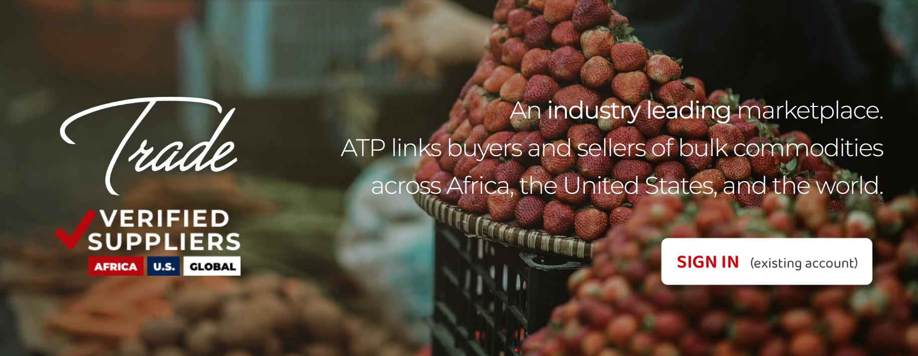 African Trade Platform